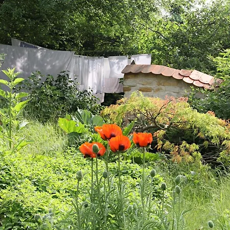 De Provence 4* Tuchomerice